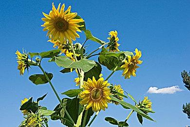 多人团队射击《原始袭变》将于7月14日正式发售